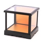 Glass Case No.8
