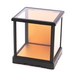 Glass Case No.8 (Plastic Frame)