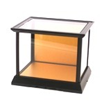 Glass Case №11
