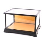 Glass Case No.12 (Plastic Frame)