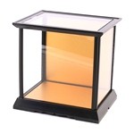 Glass Case No.13 (Plastic Frame)