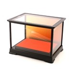 Glass Case No.15