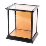 Glass Case No.16 (Plastic Frame)