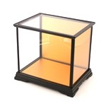 Glass Case No.18