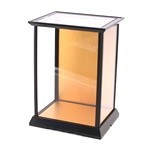 Glass Case No.20 (Plastic Frame)
