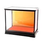 Glass Case No.21