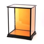 Glass Case No.25
