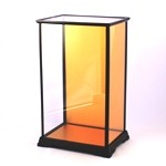Glass Case No.35