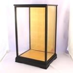Glass Case 209M