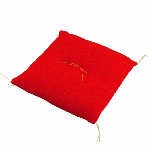 Cushion Red 12×12 sample1