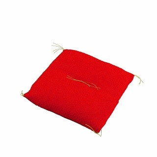Cushion Red 10×10 sample1