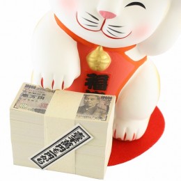 Lucky Cat Money Box sample2