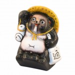Raccoon dog